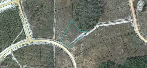 lot115 Pinecrest, Waynesville, GA 31566