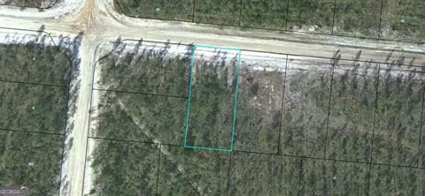 lot12 Satilla Plantation, Waynesville, GA 31566