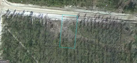 lot14 Satilla Plantation, Waynesville, GA 31566