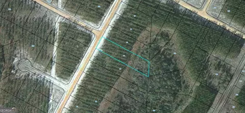 92 Satilla Plantation, Waynesville, GA 31566