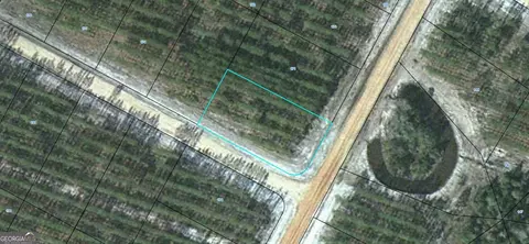 lot172 Satilla Plantation, Waynesville, GA 31566