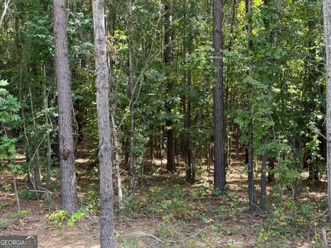 00 Lone Bear Path, Dallas, GA 30132
