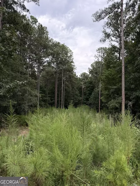 0 Spratlin Ct, Hull, GA 30646 photo 3