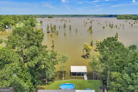 View/Area - 121 W Entrekin Rd, Cobb, GA 31735 photo 6 of 6