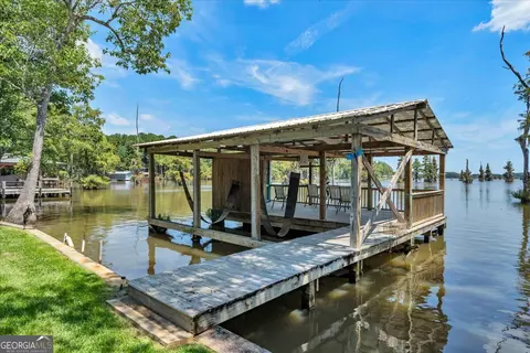 Other - 121 W Entrekin Rd, Cobb, GA 31735 photo 24 of 28