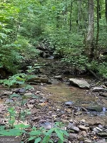 00 Seven Spgs, Jasper, GA 30143 photo 5