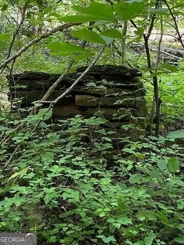 00 Seven Spgs, Jasper, GA 30143 photo 3