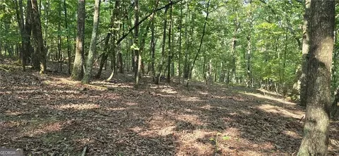 1356 Firetower Rd, Jasper, GA 30143 photo 7