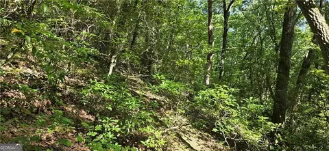 1356 Firetower Rd, Jasper, GA 30143 photo 11