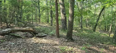 1356 Firetower Rd, Jasper, GA 30143 photo 8