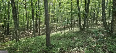 1356 Firetower Rd, Jasper, GA 30143 photo 10