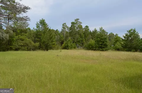 223 Carroll Rd, Roberta, GA 31078 photo 17