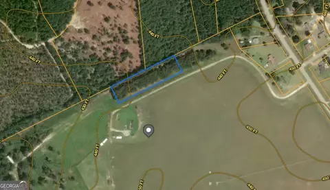 0 Highway 296, Stapleton, GA 30823 photo 9