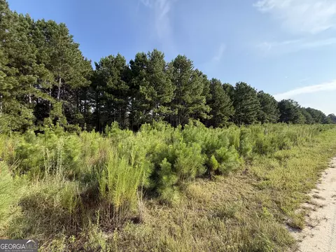 0 Highway 296, Stapleton, GA 30823 photo 4