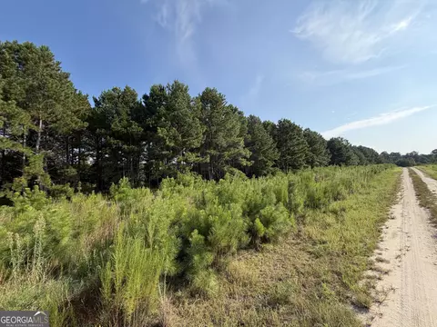 0 Highway 296, Stapleton, GA 30823 photo 6