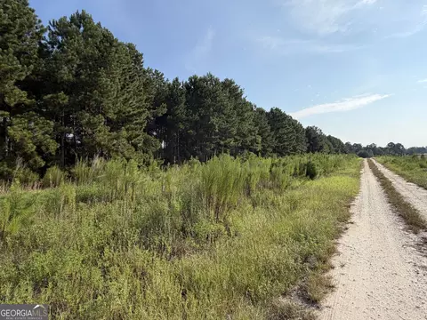 0 Highway 296, Stapleton, GA 30823 photo 3