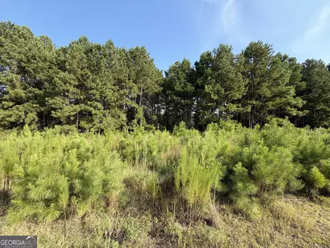 0 Highway 296, Stapleton, GA 30823 photo 5