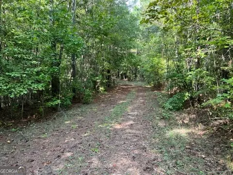 0 Lipham Rd, Franklin, GA 30217 photo 12