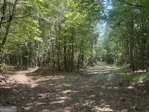 0 Lipham Rd, Franklin, GA 30217 photo 6