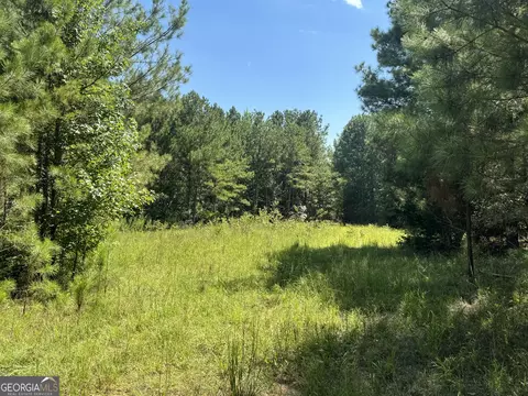 0 Lipham Rd, Franklin, GA 30217 photo 8