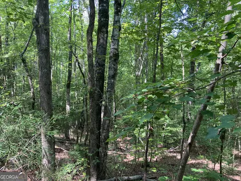 2 03 Ac Johnson Mill Rd, Hamilton, GA 31811 photo 4