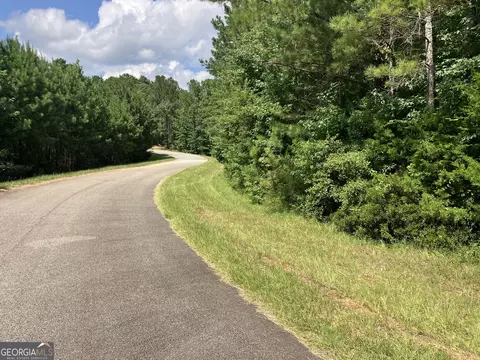 2 03 Ac Johnson Mill Rd, Hamilton, GA 31811 photo 3