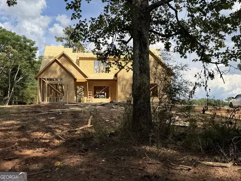 Exterior - lot7 Rex Rd, Williamson, GA 30292 photo 4 of 5