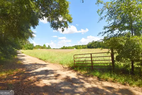 Other - 269 N Dorsey Rd, Hampton, GA 30228 photo 3 of 18