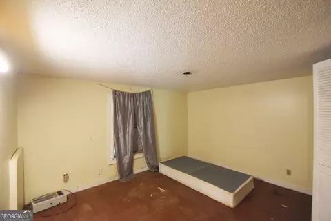 Other - 269 N Dorsey Rd, Hampton, GA 30228 photo 17 of 18