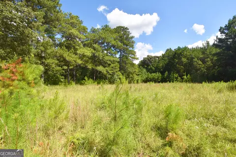 Other - 269 N Dorsey Rd, Hampton, GA 30228 photo 18 of 18