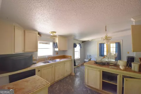 Kitchen - 269 N Dorsey Rd, Hampton, GA 30228 photo 1 of 2