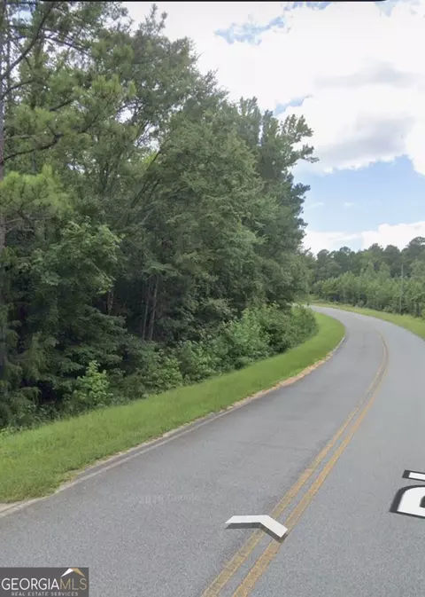 0 Dixon Rd, Roberta, GA 31078 photo 3
