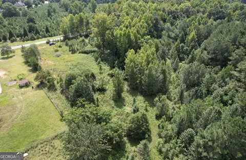 0 Etheridge Mill Rd, Griffin, GA 30224 photo 6