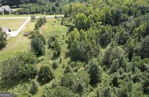 0 Etheridge Mill Rd, Griffin, GA 30224 photo 7