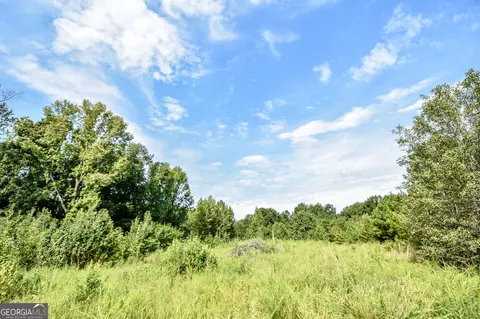 0 Etheridge Mill Rd, Griffin, GA 30224 photo 4