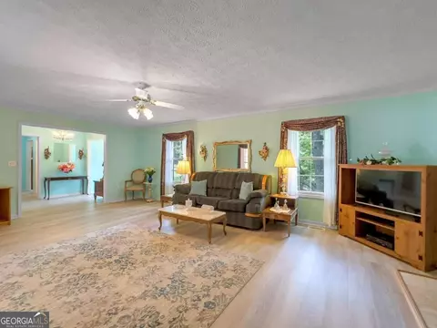 Living - 240 Riverview Rd, Jackson, GA 30233 photo 5 of 5