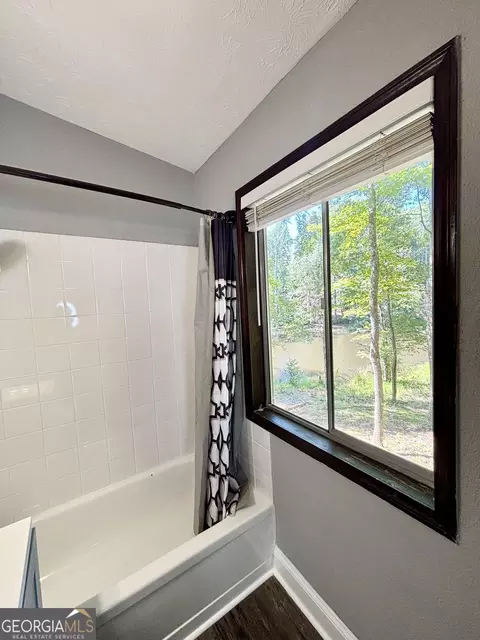 Bath - 557 Benttree Cir, Toccoa, GA 30577 photo 5 of 6