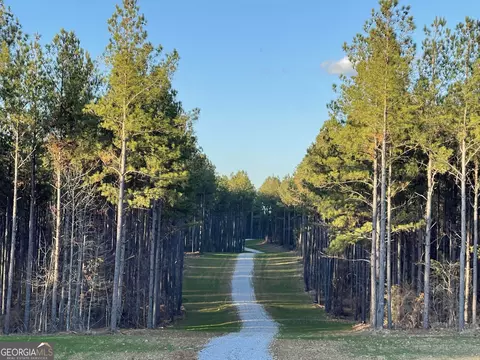 92 Lillian Strong Rd, Carlton, GA 30627