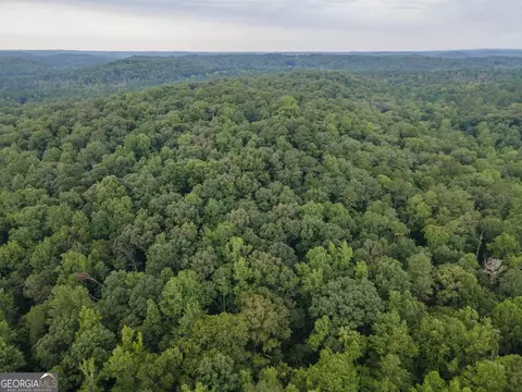 0 Brazell Rd, Chattahoochee Hills, GA 30268