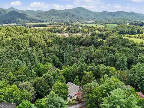 View/Area - 174 Bell Colony Rd, Dillard, GA 30537 photo 4 of 4