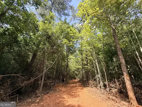 8 Bunch Rd, Tignall, GA 30668 photo 19