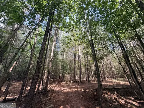8 Bunch Rd, Tignall, GA 30668 photo 27