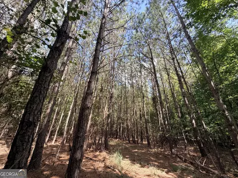 8 Bunch Rd, Tignall, GA 30668 photo 34