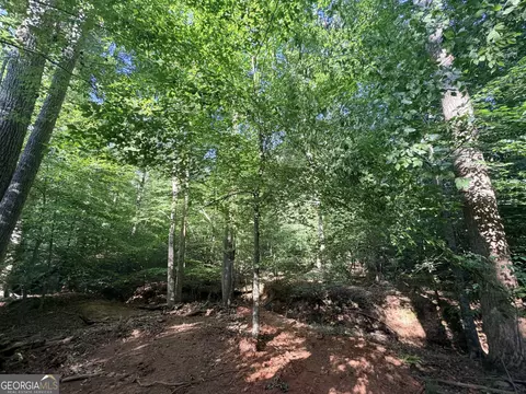8 Bunch Rd, Tignall, GA 30668 photo 4