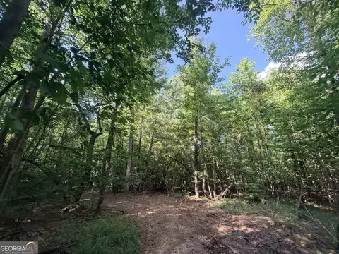8 Bunch Rd, Tignall, GA 30668 photo 50