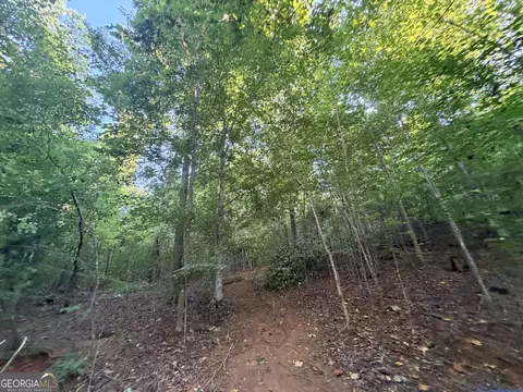 8 Bunch Rd, Tignall, GA 30668 photo 81