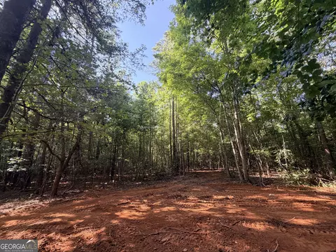 8 Bunch Rd, Tignall, GA 30668 photo 61