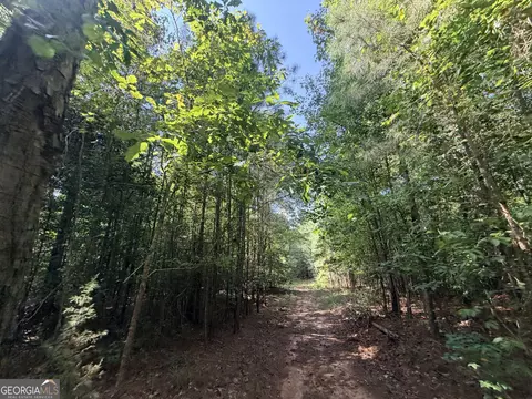 8 Bunch Rd, Tignall, GA 30668 photo 48