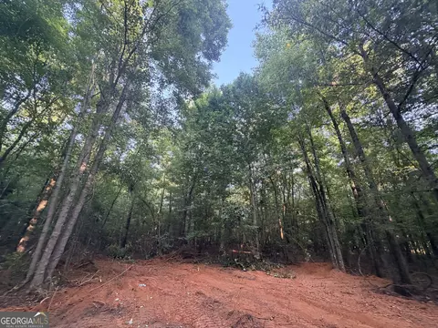 8 Bunch Rd, Tignall, GA 30668 photo 75