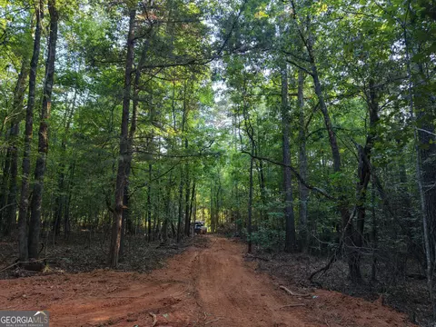 8 Bunch Rd, Tignall, GA 30668 photo 77
